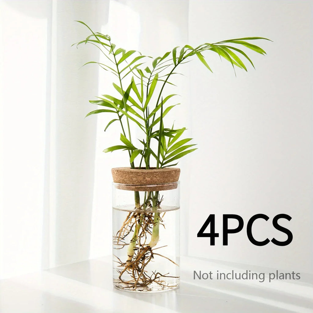 Minimal Glass Propagation Vase