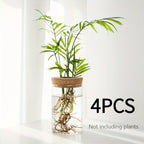 Minimal Glass Propagation Vase