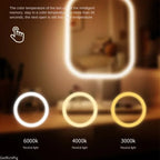 Valeroni LED Vanity Mirror | 3-Color Touch Lighting