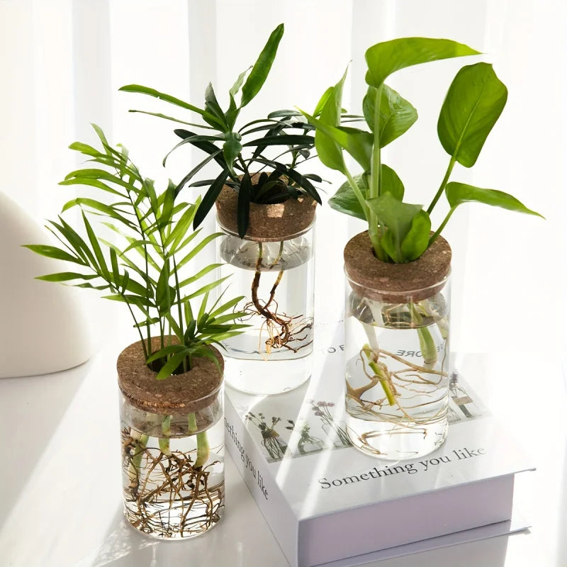 Minimal Glass Propagation Vase