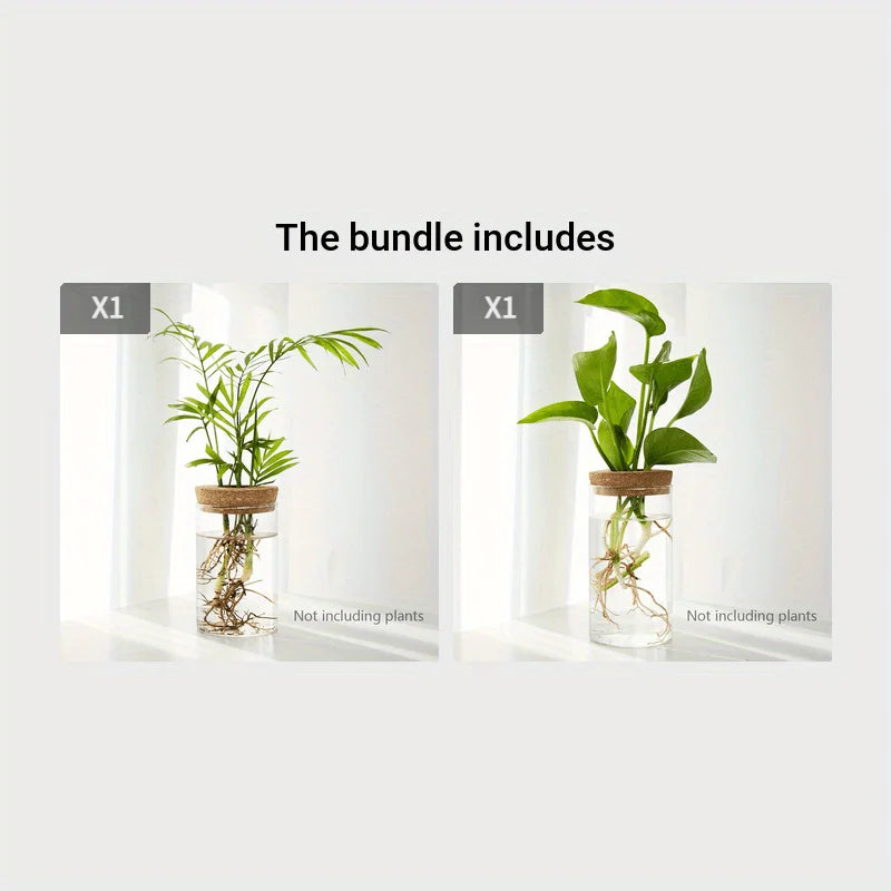 Minimal Glass Propagation Vase