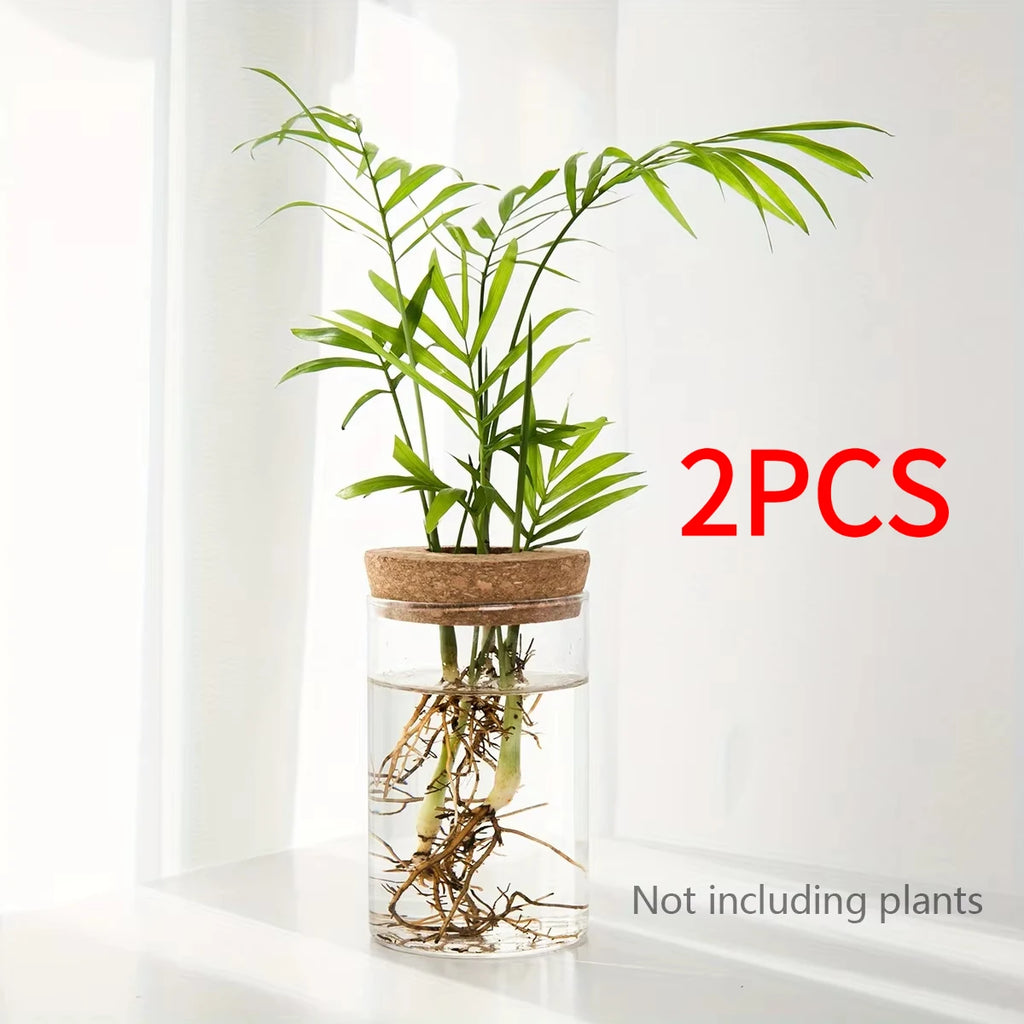 Minimal Glass Propagation Vase
