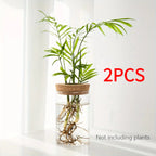 Minimal Glass Propagation Vase