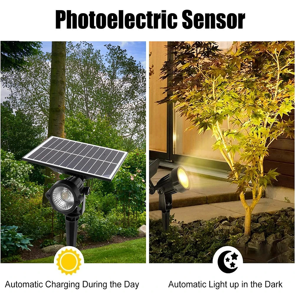 Solar Landscape Spotlight