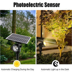 Solar Landscape Spotlight