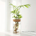 Minimal Glass Propagation Vase