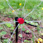Adjustable Micro-Drip Watering Kit