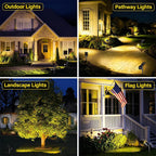 Solar Landscape Spotlight