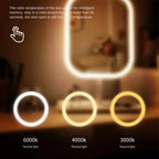 Valeroni LED Vanity Mirror | 3-Color Touch Lighting