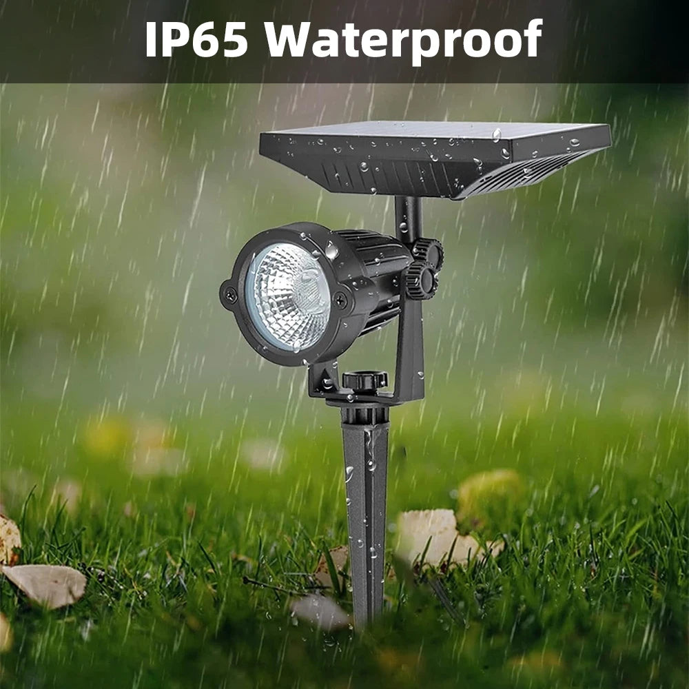 Solar Landscape Spotlight
